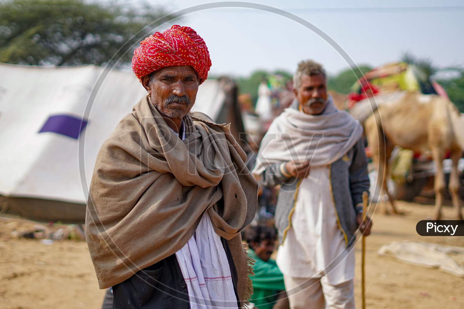 Pushkar, Rajasthan / India- June 5 2020 :A Portrait Of An Old Man With Red Turban In Pushkar During Camel Fair.