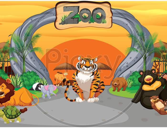 Animals In The Zoo Are Playing And Enjoying Together