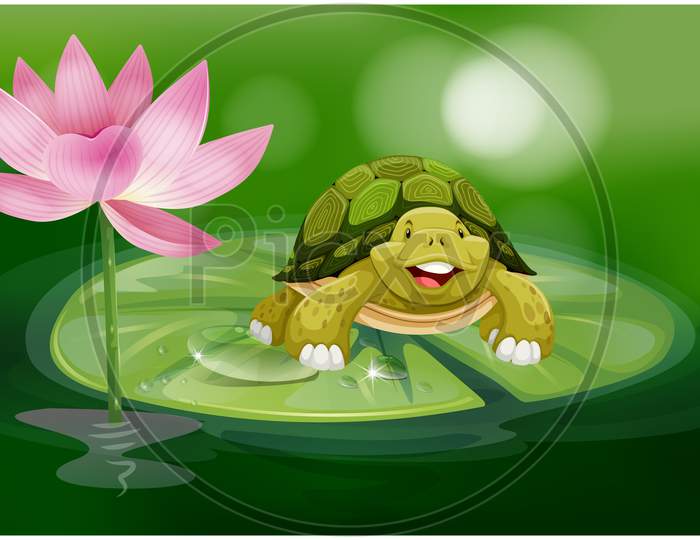 Tortoise Floating On Lotus Leaf In The Pond