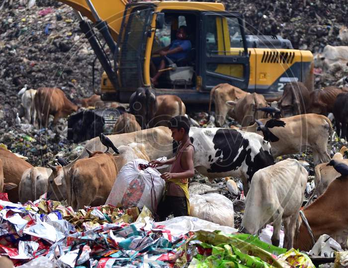 A rag picker Searches For Recyclable Materials at A Garbage Dump Near Deepor Beel Wildlife Sanctuary On The Outskirts Of Guwahati On June 4,2020.
