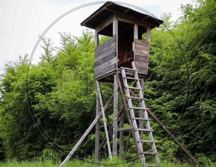 Hunting Stand In The Forest