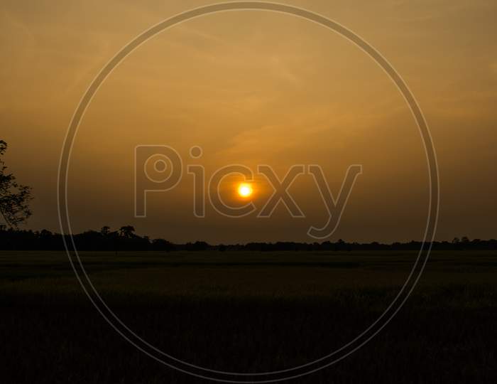 Sunset  or Sunrise View at Kaziranga National Park of Assam, India