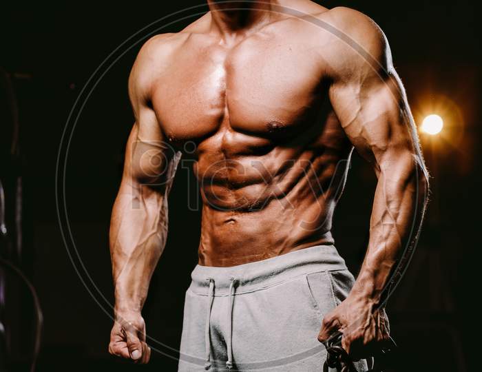 Muscular Attractive Man In Gym