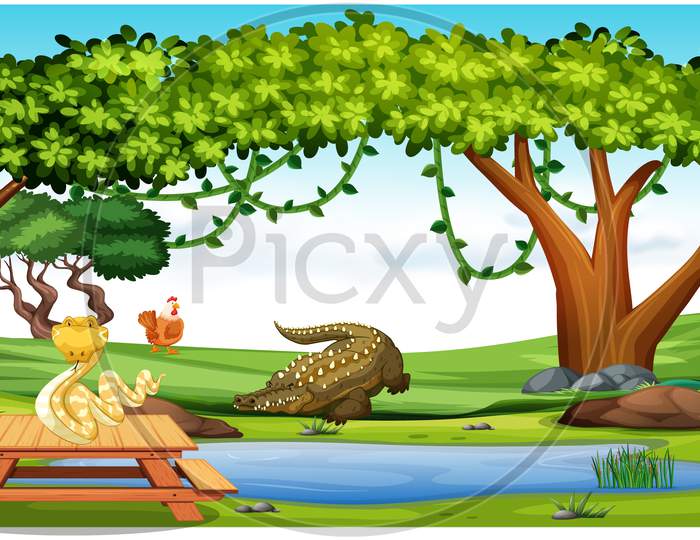 Animals Are Playing In A Forest And Drinking Water