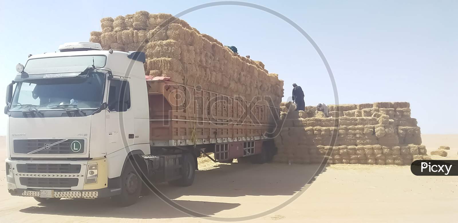 Wheat straw loaded truck