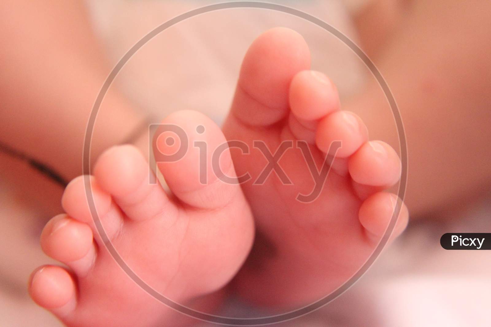 Closeup New Born Infant Baby Feet.