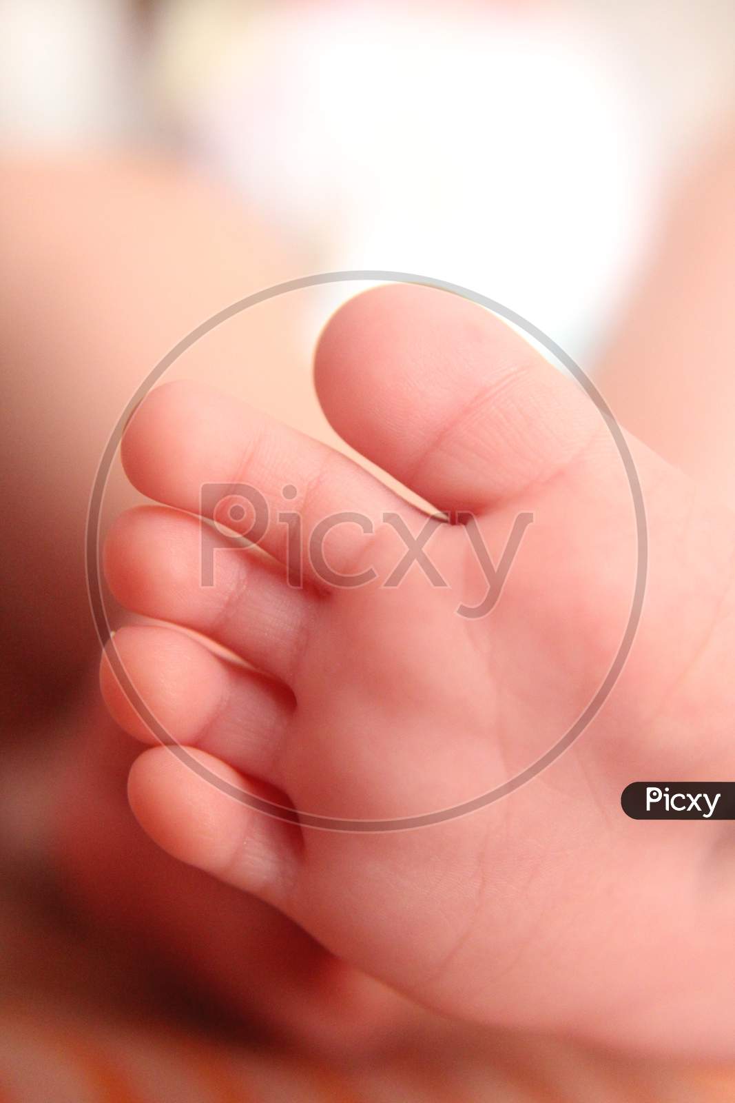 Closeup New Born Infant Baby Feet.