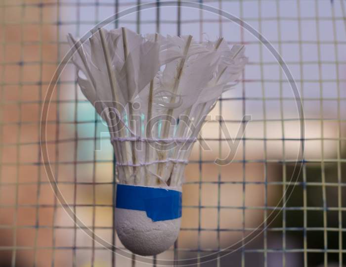 Shuttlecock With Badminton