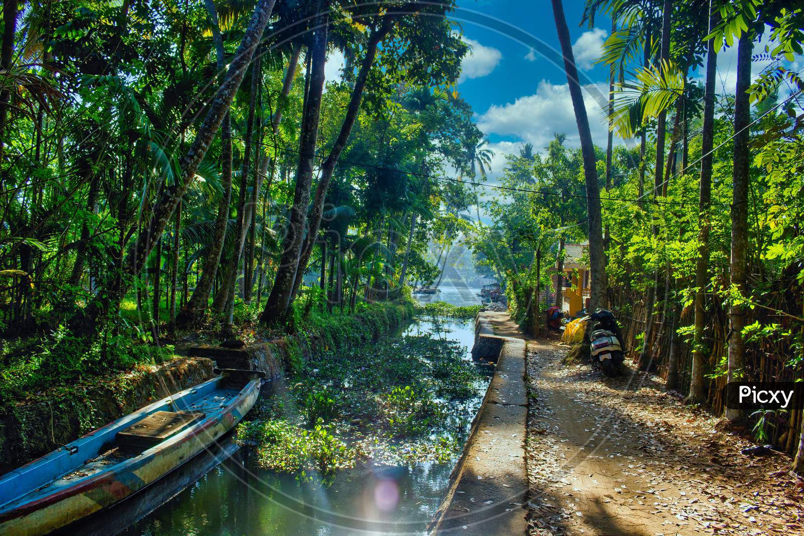 A Scenic View Of Boat In Backwaters Situated In Allepey Town Located In Kerala State