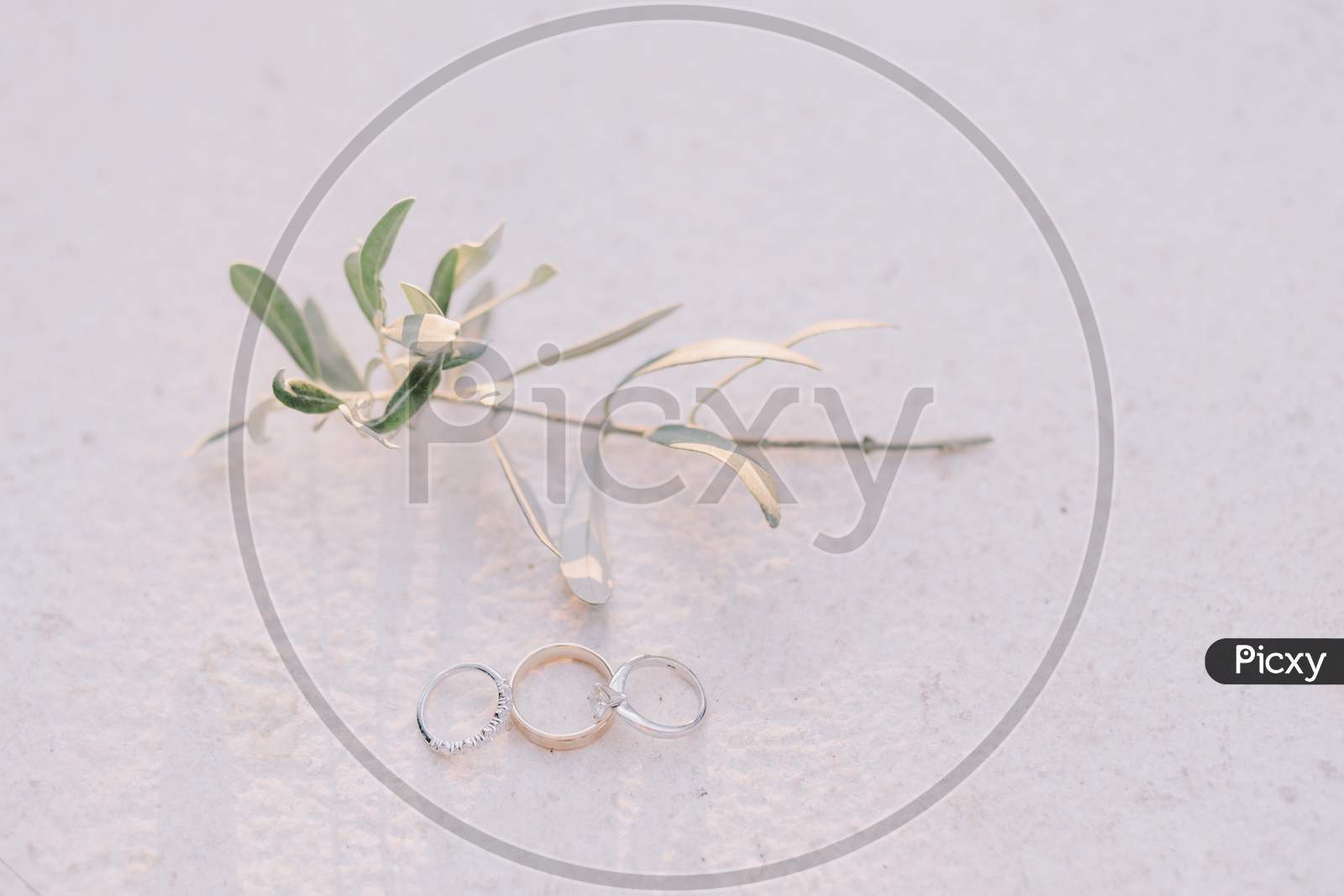 Luxury Wedding Ring And Engagement In Fine Art Style With Olive Twig