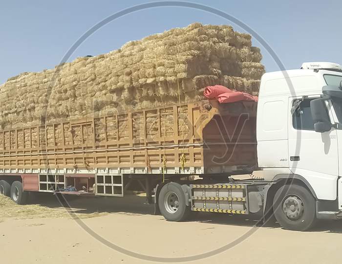 Wheat straw loaded  truck