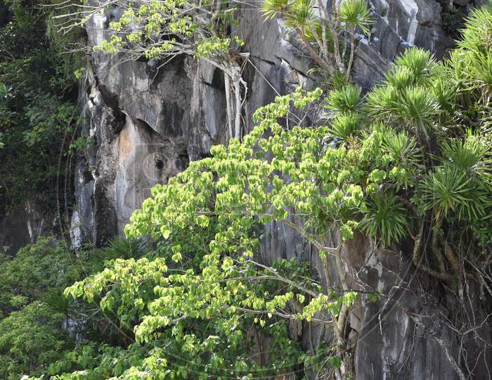 The harmonious combination of the rock and green in the marble mountain