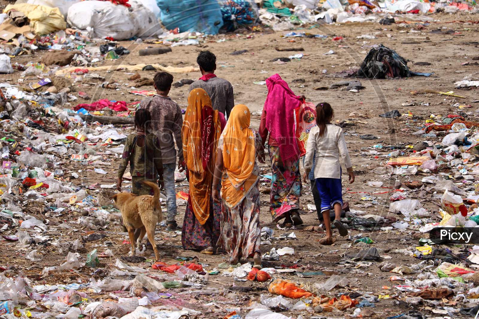 Indian Rag-Pickers Look For Recyclable Material At A Municipal Waste Dumping Site On The Eve Of World Environment Day In Ajmer, Rajasthan, India On 04 May 2020.