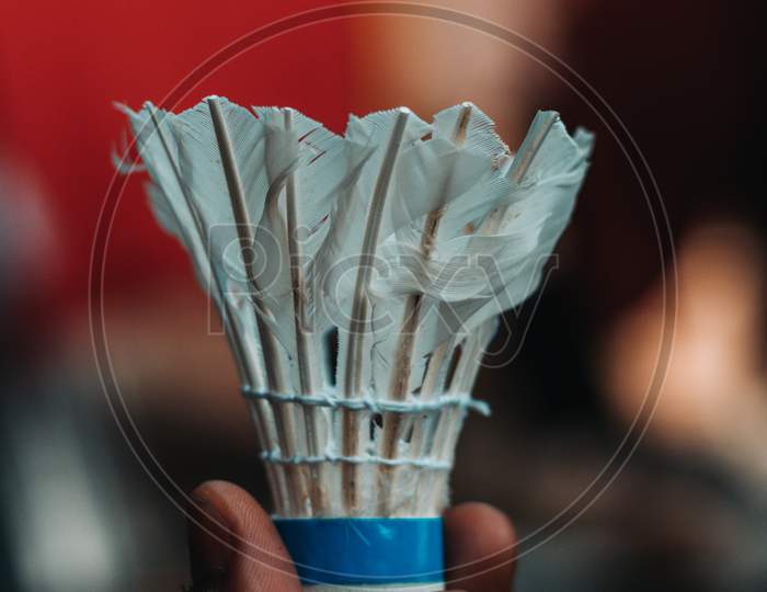 White Shuttlecock In A Hand. Activity Outdoor, In The Evening Life Style. Exercise Equipment Background