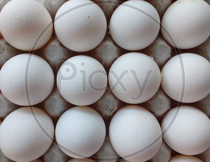 Chicken Eggs In Carton Egg Box Isolated On White Background. Cardboard Egg Tray With White Eggs, Front View. Best Vector Illustration For Bird Eggs, Food, Poultry Farming, Gastronomy, Cooking, Etc