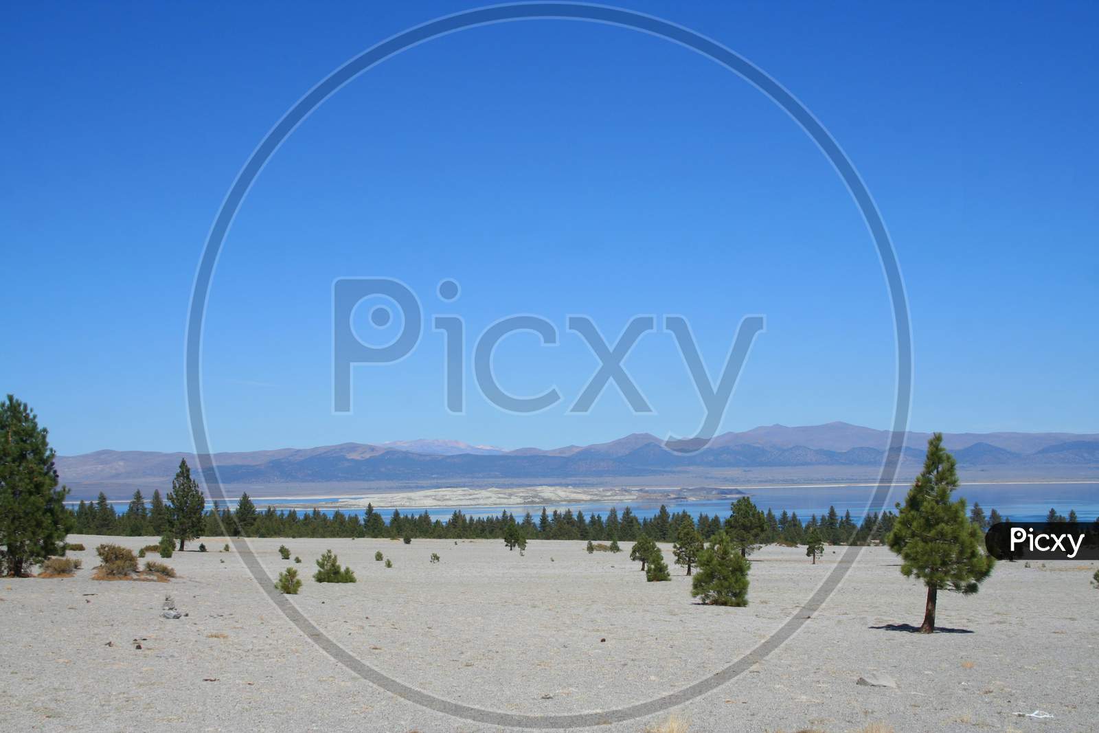 Mono Lake And The Inyo National Forest