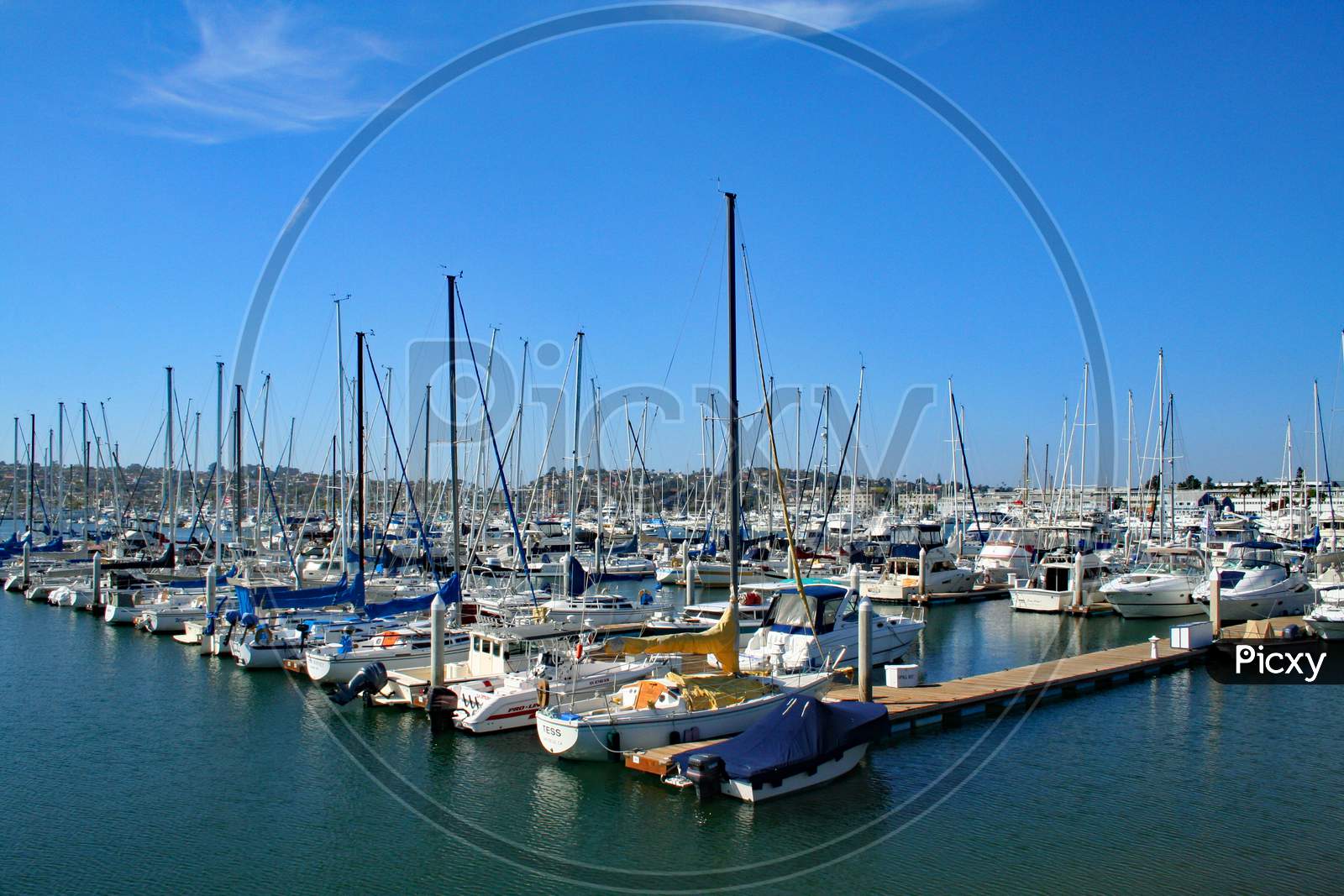 Marina In San Diego