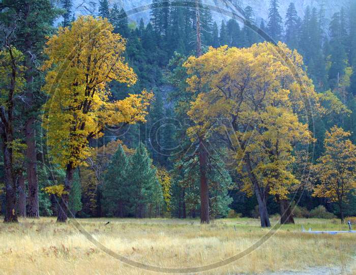 Autumn In Yosemite Valley