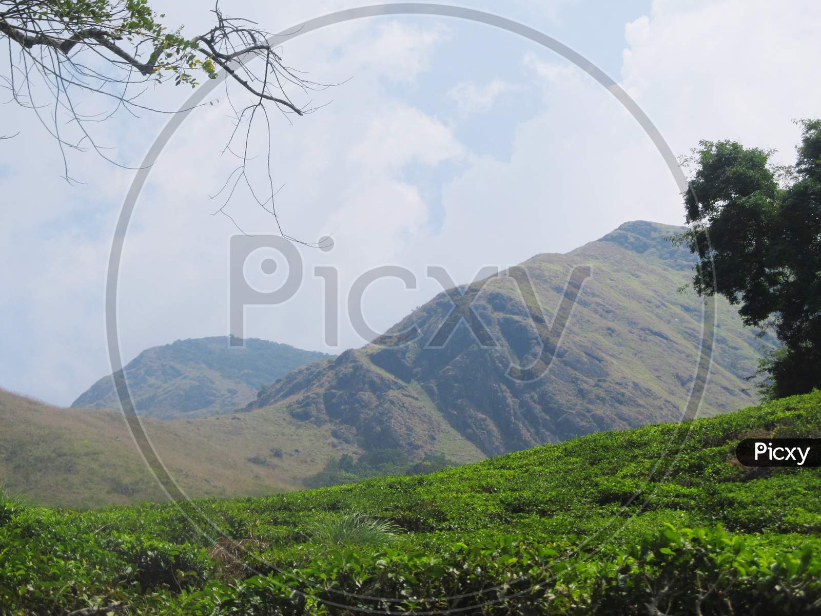 Chembra peak side  Wayanad landscape view