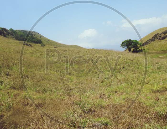 Green Meadows Chembra peak Wayanad landscape view