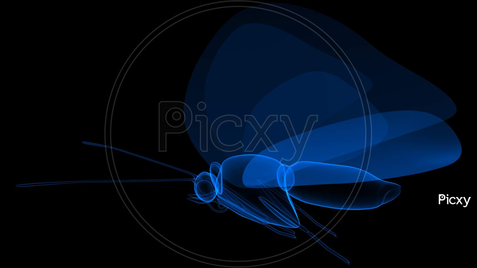 Blue coloured Butterfly in Black background 3d rendering