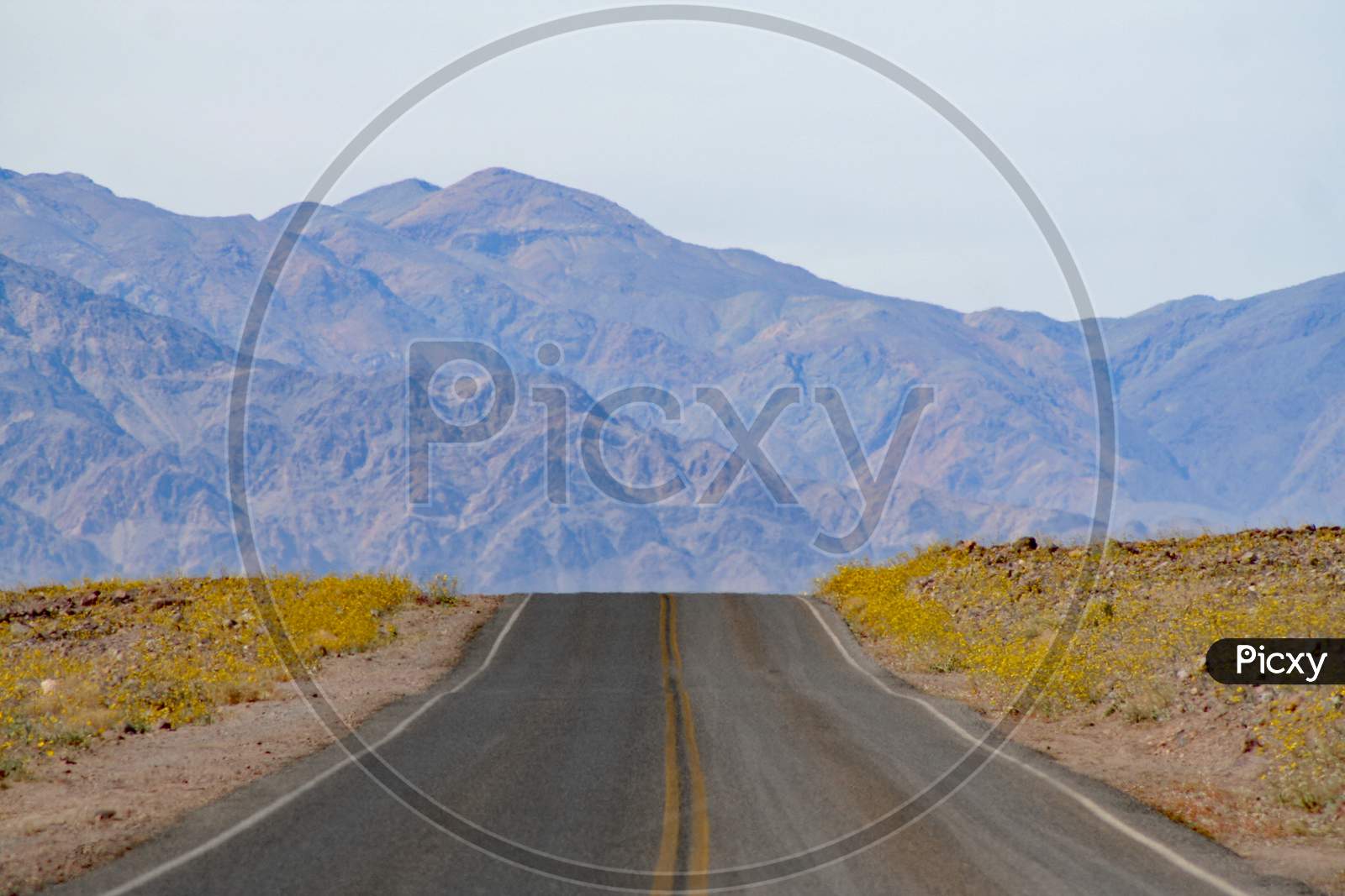 Road In Death Valley
