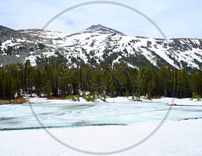 Ice Covered Pond At Tioga Pass
