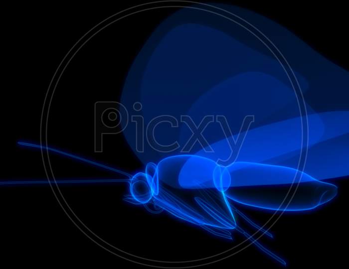 Blue coloured Butterfly in Black background 3d rendering
