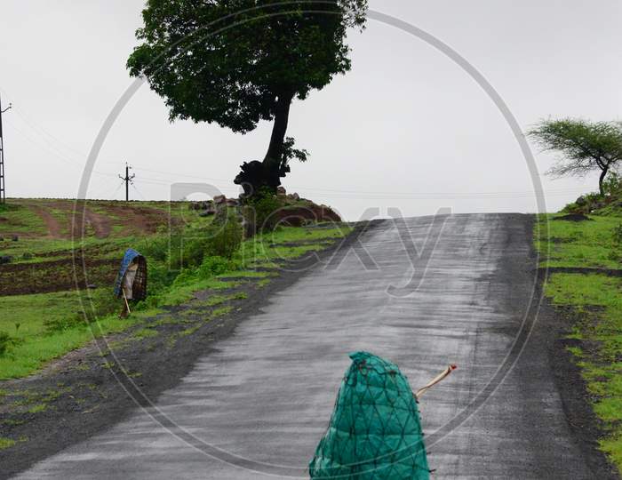Paddy worker walking on a wet road on a gloomy day