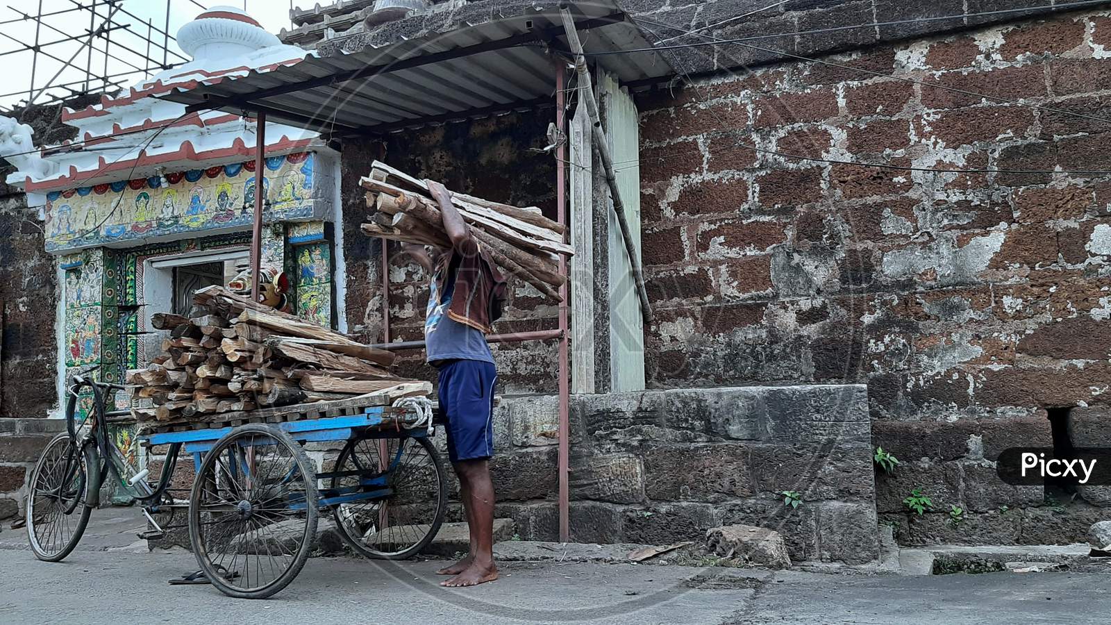 A man supplying wood to the Temple Ananta Basudev for cooking of prasad