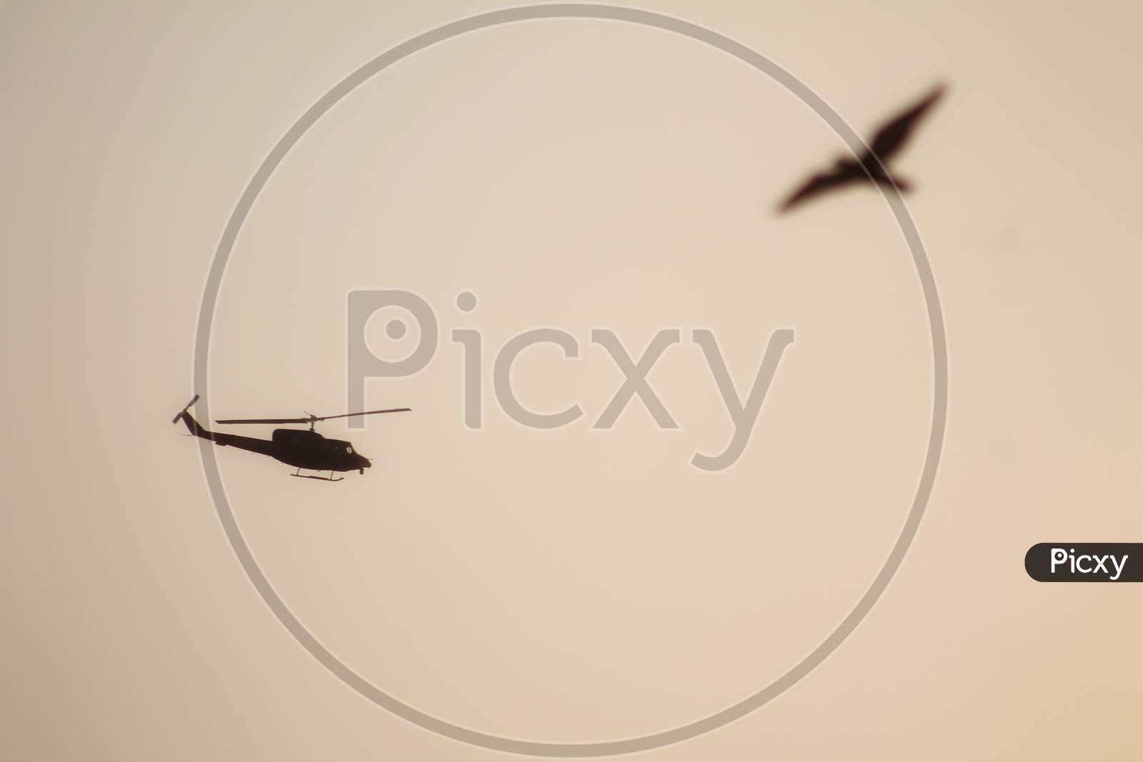 A helicopter and bird flying   in the sky