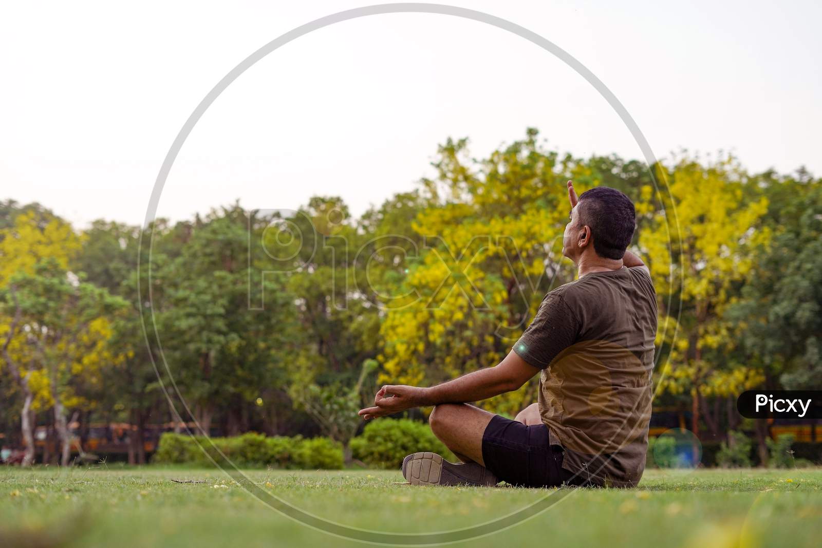 Mid-Aged Man Doing Yoga In A Park Covered With Trees, Anulom Vilom Pranayam.