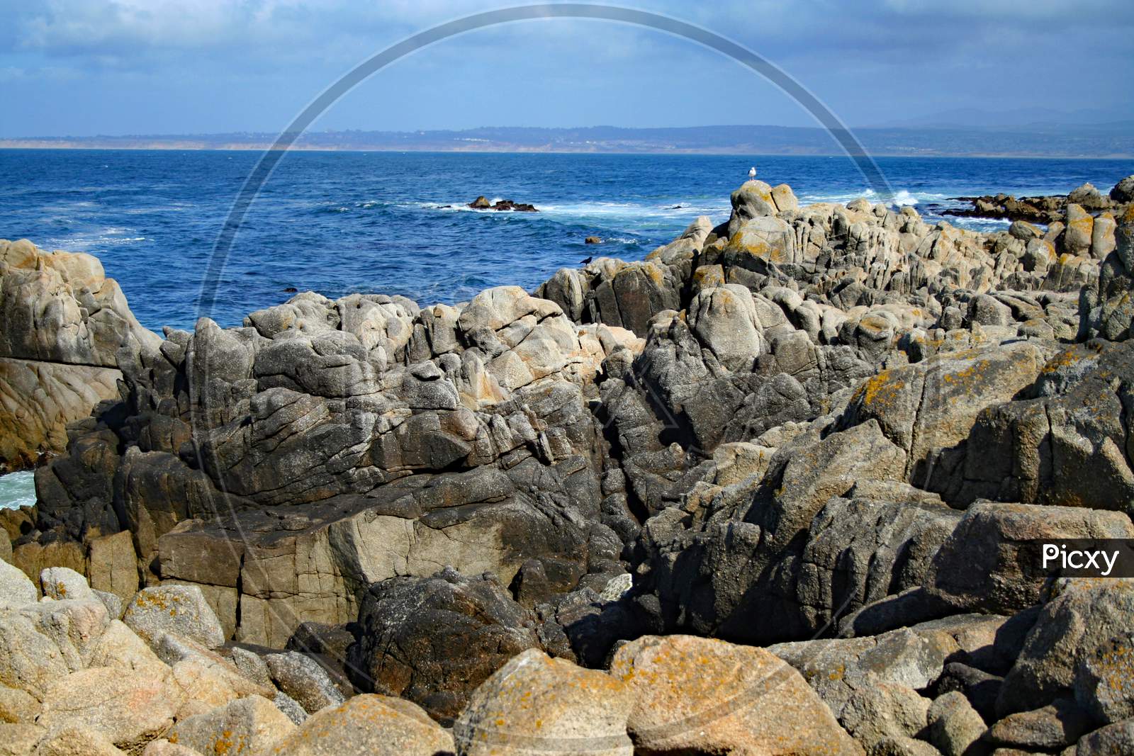 Rocks Along The Monterey Coast
