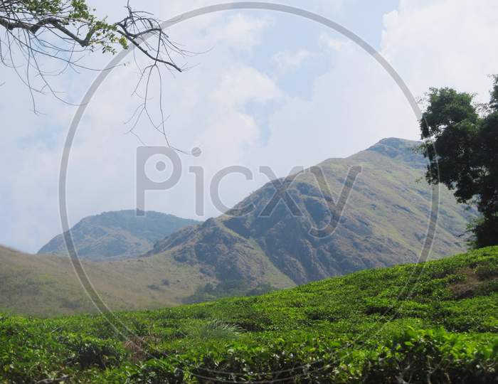 Chembra peak side  Wayanad landscape view