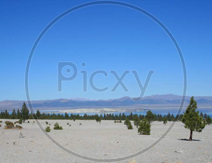 Mono Lake And The Inyo National Forest