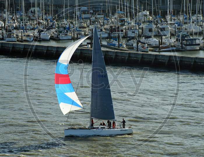 Sailboat In San Francisco Bay