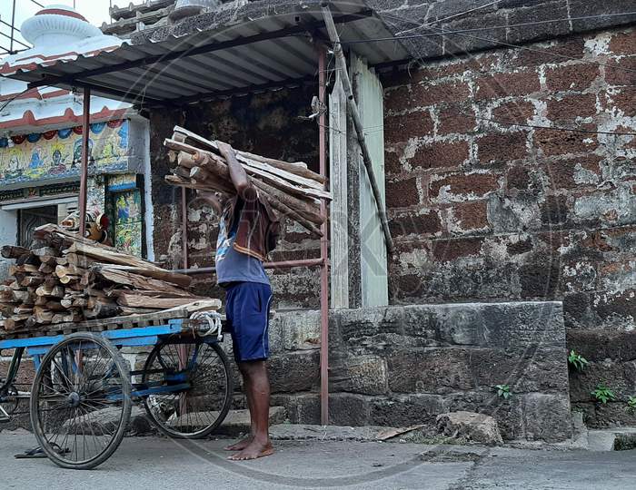 A man supplying wood to the Temple Ananta Basudev for cooking of prasad
