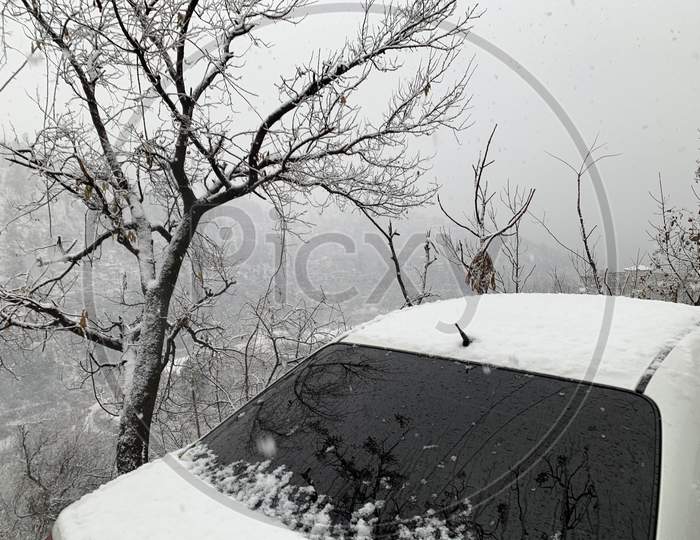 Snowfall In Mountains Covering Tree And White Car