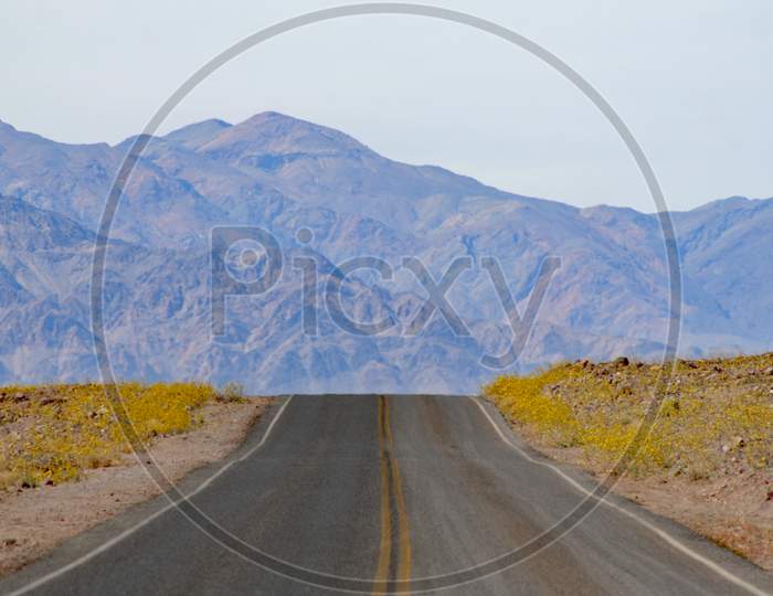 Road In Death Valley