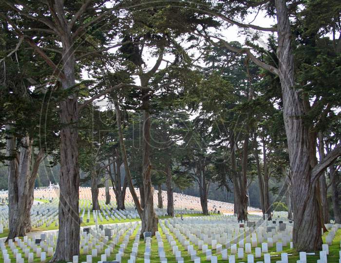 Cemetery In San Francisco
