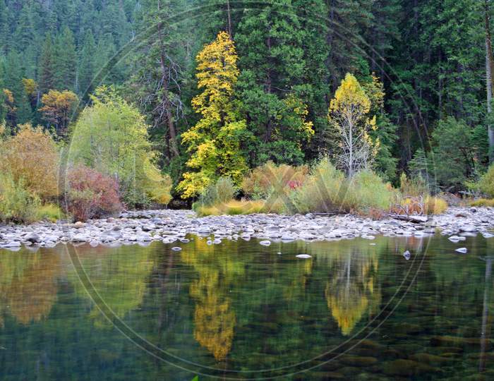 Autumn Reflection On The Merced River