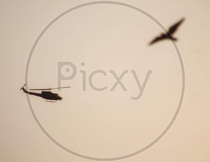 A helicopter and bird flying   in the sky