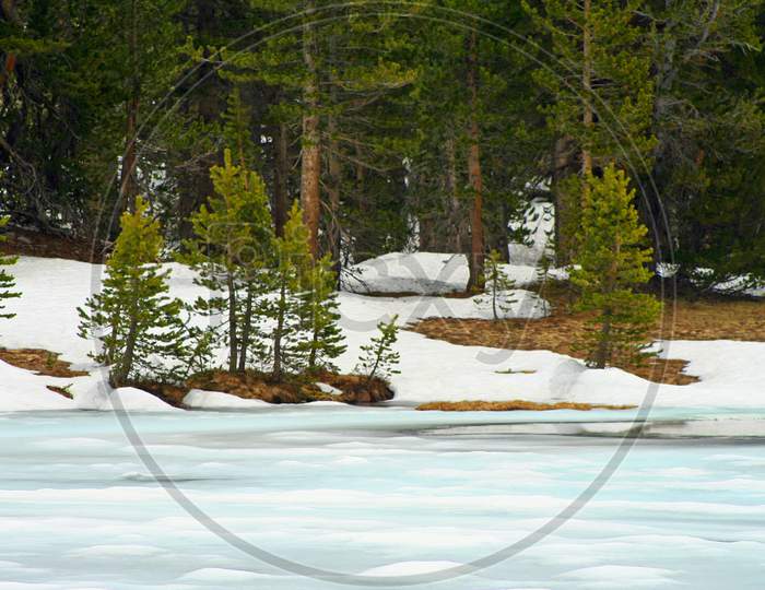 Ice Covered Pond At Tioga Pass