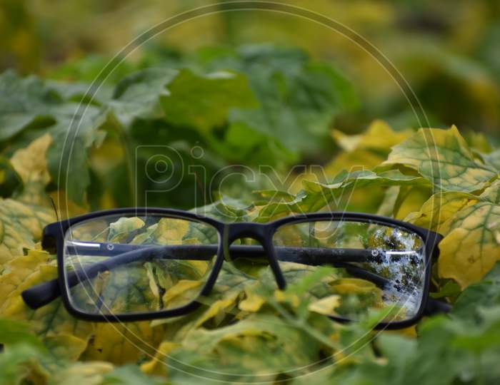 a pair of spectacles lying on the weed plants
