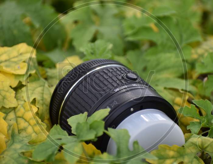 a camera lens is lying among grasses