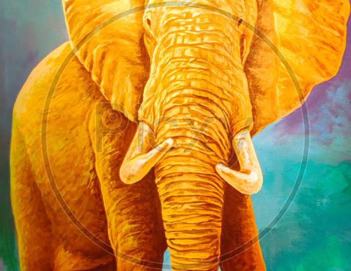 The fineart of an elephant with the background colour