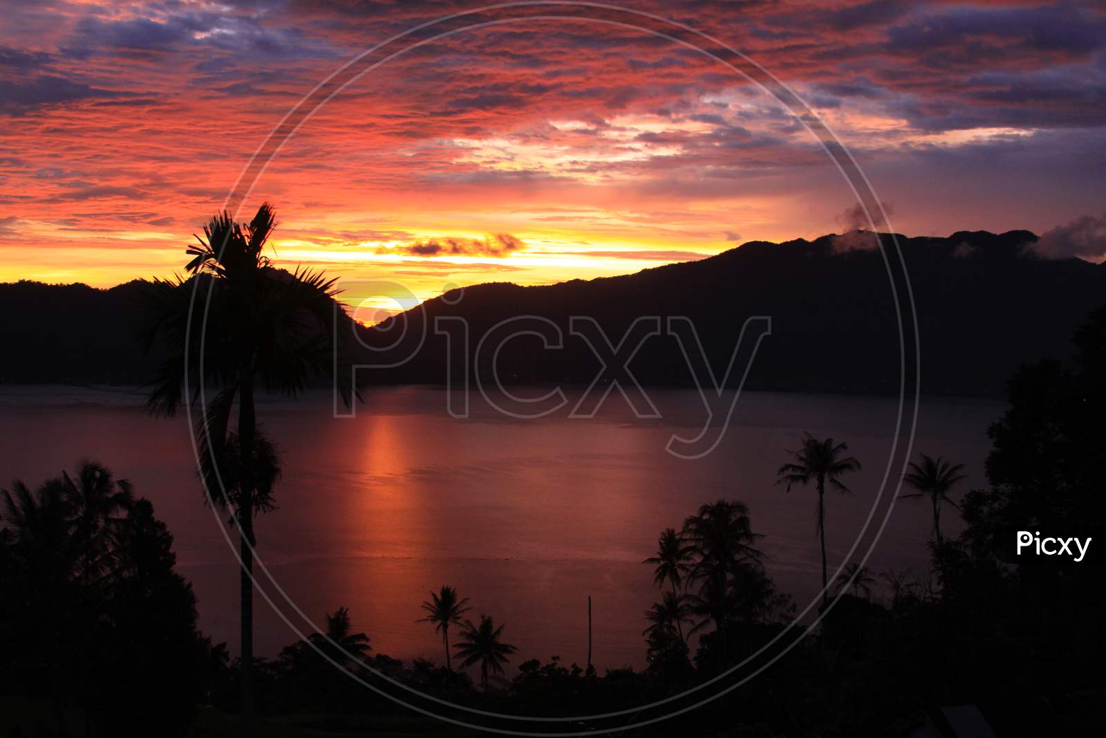 Beautiful Sunset With Palm Trees On Lake Maninjau