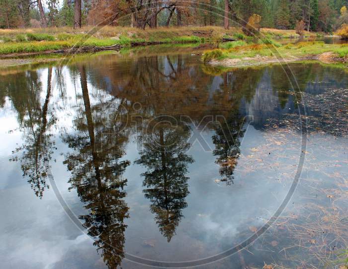 Autumn Reflection In Yosemite (Ca 06265)