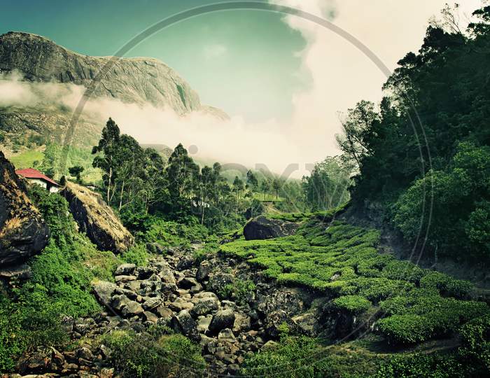 Munnar Tea Plantations, Kerala India, Green Sky With Hill