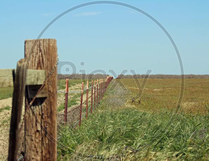 Fence On The Farm (Ca 07467)